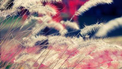 細(xì)數(shù)數(shù)控折彎?rùn)C(jī)的優(yōu)缺點(diǎn)