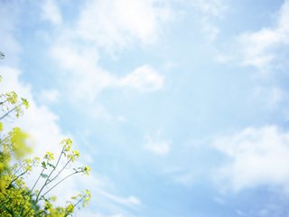 南通威鋒重工教你如何維護數(shù)控彎折機
